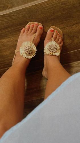 cafe brasil 2026 (46)